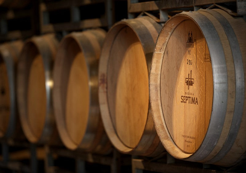 Bode septima winecase