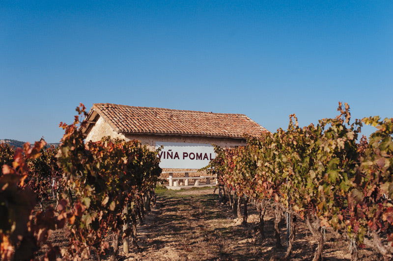 Bodegas Bilbaines - Viña Pomal