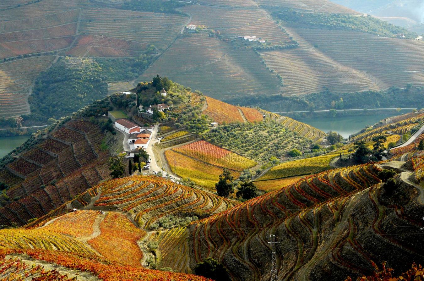 Quinta do Crasto Wijnregio