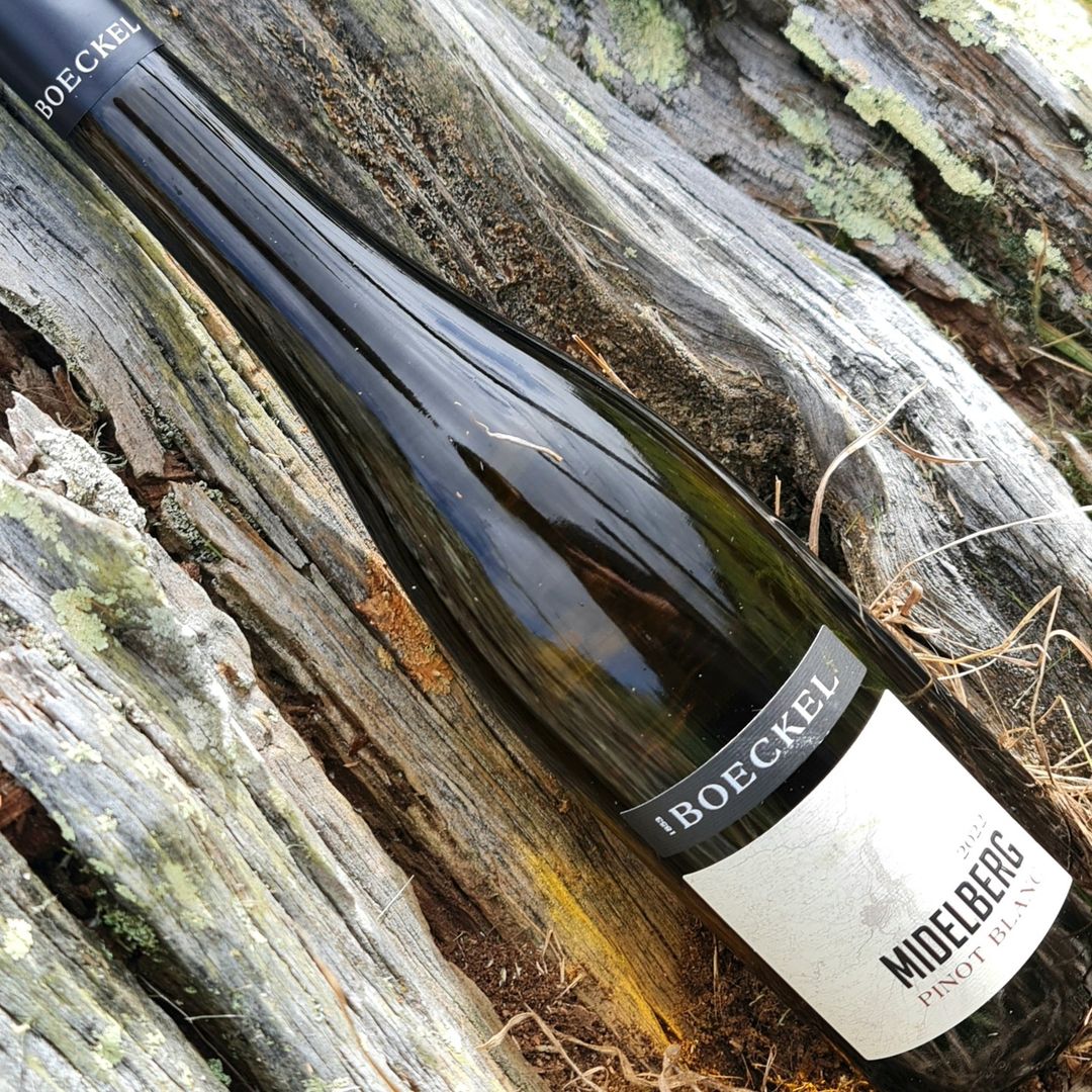 Boeckel - Pinot Blanc Midelberg 